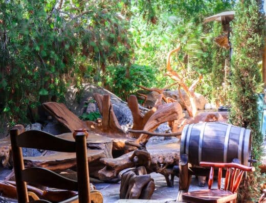 Le Figuier Restaurant Pizzeria – Grill