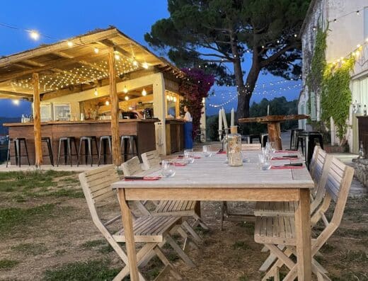 Domaine Camellu