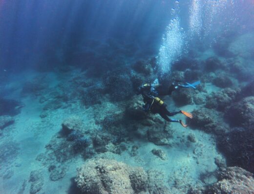 Cap Corse immersion