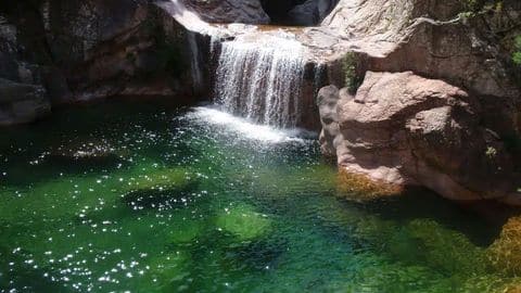 Corsica Forest Canyoning