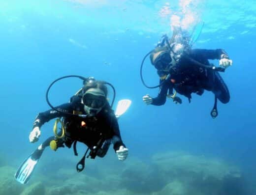 Corsica Sub