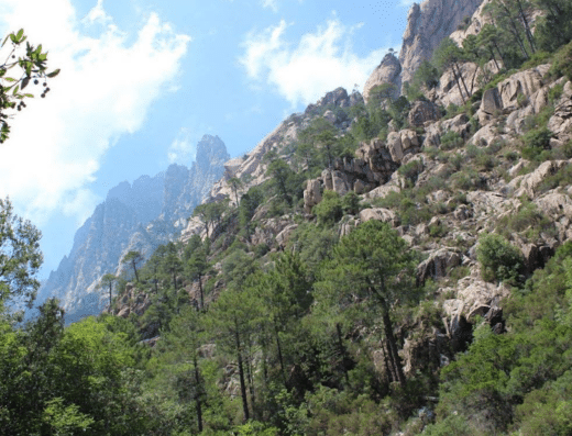 Natura Canyon