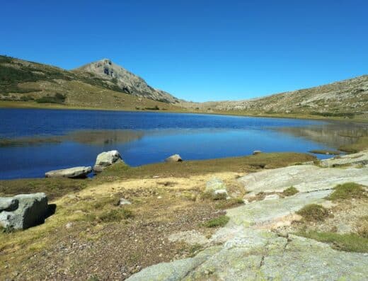 Parc aventure Corse Valdoniellu