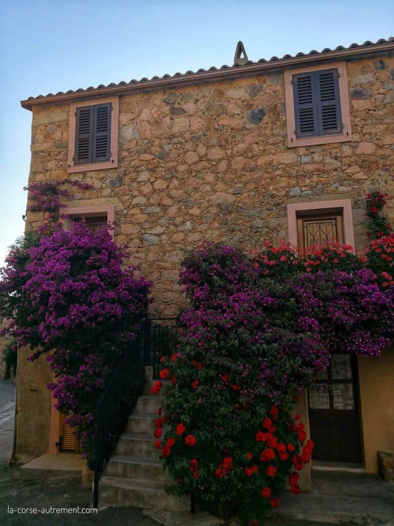 Randonnée douce et découverte familiale à Piana