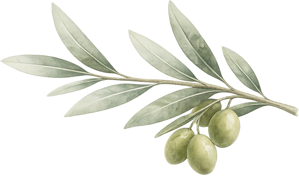 Marketplace touristique de la Corse